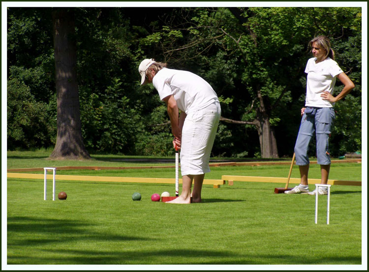 Kroket. Brezova u Karlovych Varu 2008 Petr Gasek and Martina Navratilova