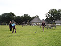 Croquet. Safari Lodge. South Africa, 2010.