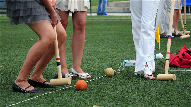 Croquet. .   . , , 2010.