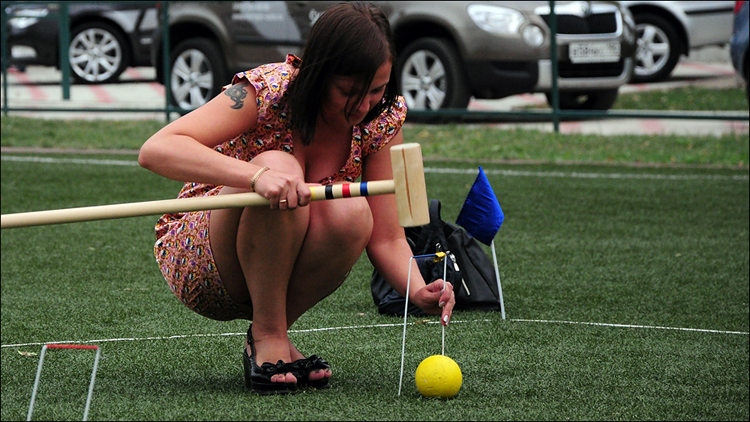 Croquet. .    ,     ... , , 2010.