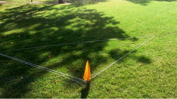 �������� �������� ��� ���� � ������. ������� ������.